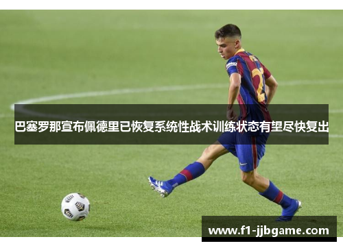 巴塞罗那宣布佩德里已恢复系统性战术训练状态有望尽快复出 巴塞罗那宣布佩德里已恢复系统性战术训练状态有望尽快复出